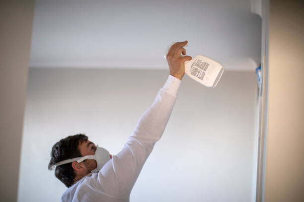 Best Attic Mold Remediation in Dravosburg, PA