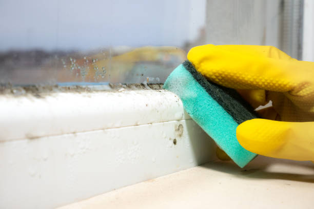 Best HVAC Mold Remediation in Dravosburg, PA