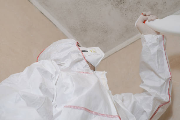 Best Emergency Mold Remediation in Dravosburg, PA